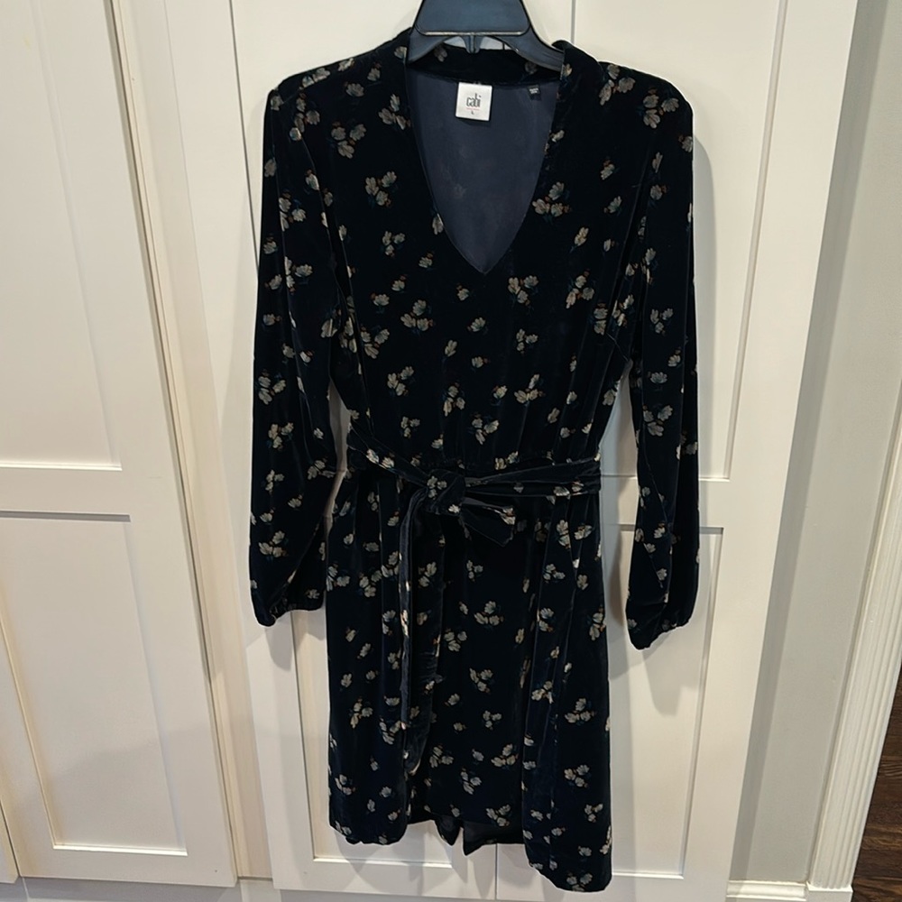 Fall/Winter cabi dress!